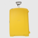 Samsonite,  , d18.006.078